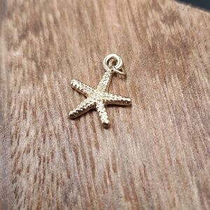 Beach‎ starfish charm